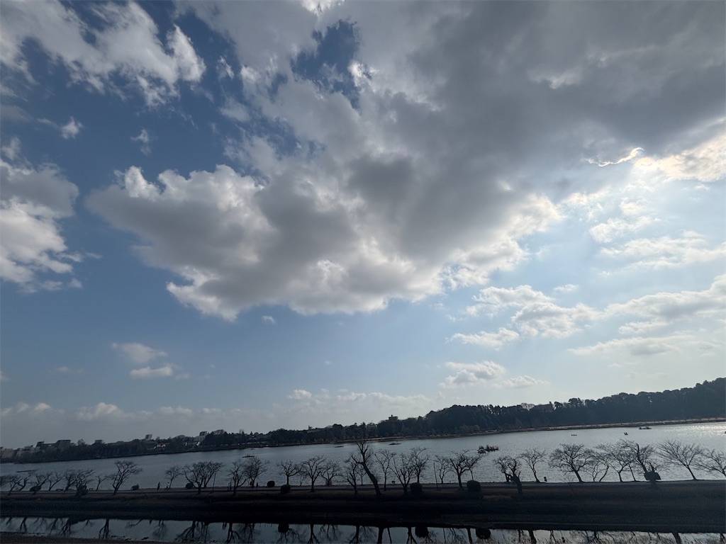f:id:ryusei24:20260308224913j:image f:id:ryusei24:20260308224913j:image