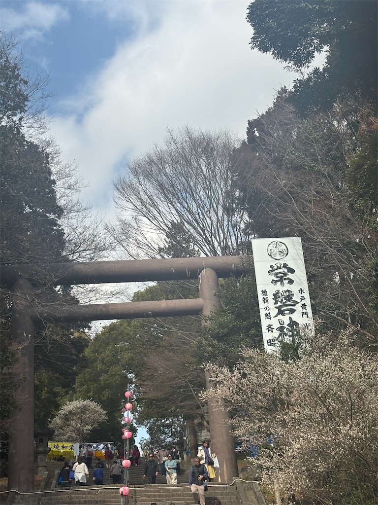 f:id:ryusei24:20260308224926j:image f:id:ryusei24:20260308224926j:image