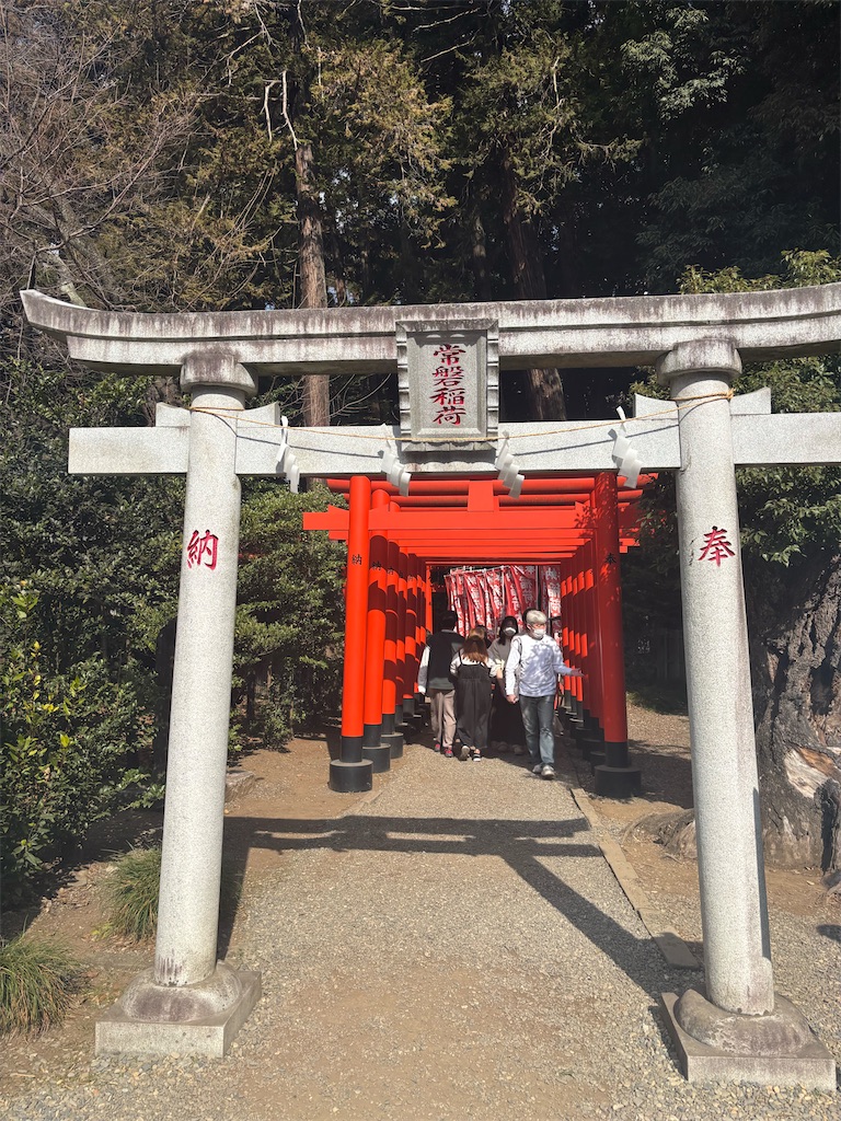 f:id:ryusei24:20260308224934j:image f:id:ryusei24:20260308224934j:image