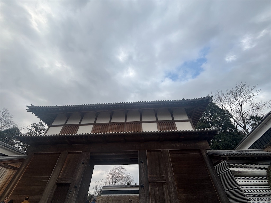f:id:ryusei24:20260308230020j:image f:id:ryusei24:20260308230020j:image