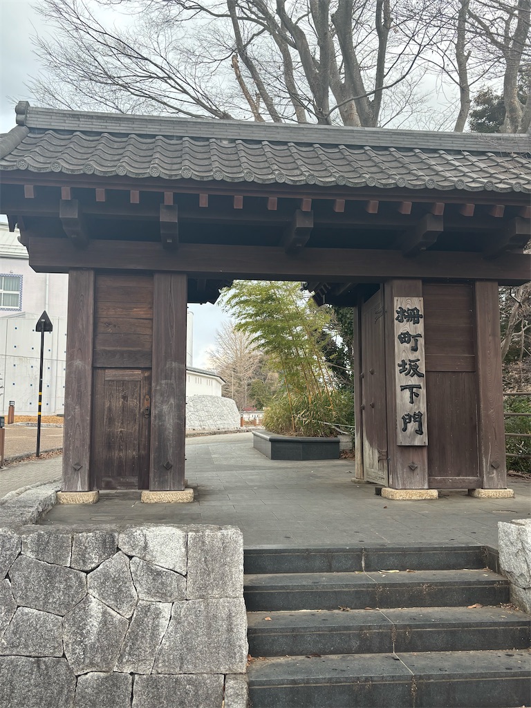 f:id:ryusei24:20260308230027j:image f:id:ryusei24:20260308230027j:image