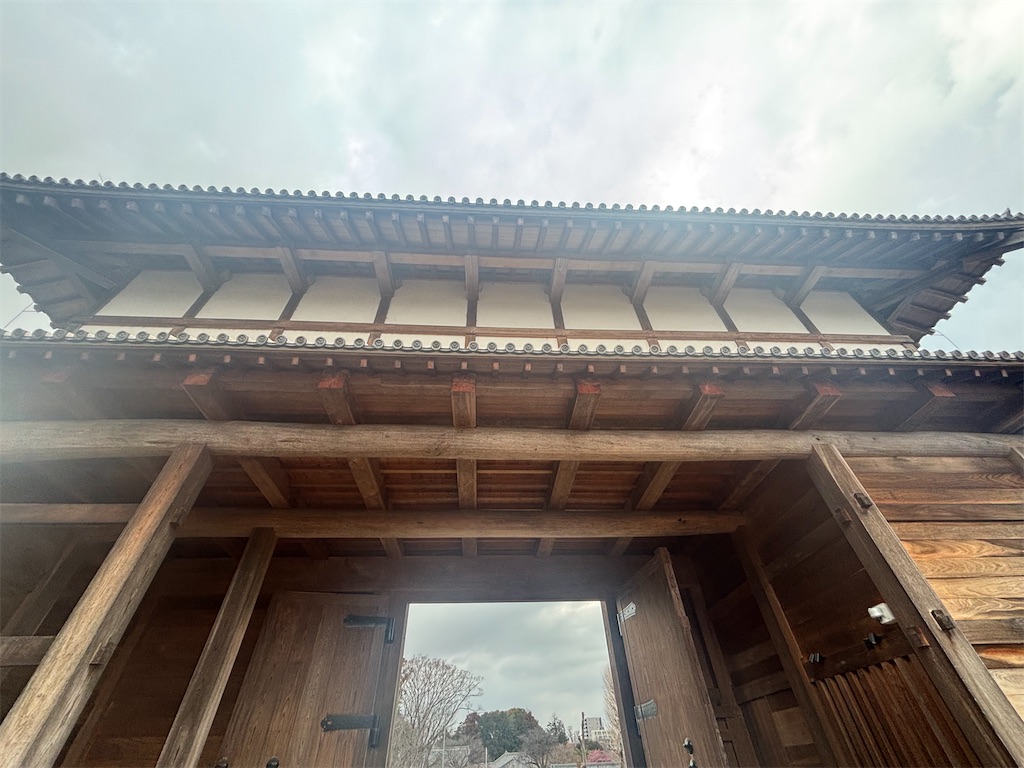 f:id:ryusei24:20260308230047j:image f:id:ryusei24:20260308230047j:image