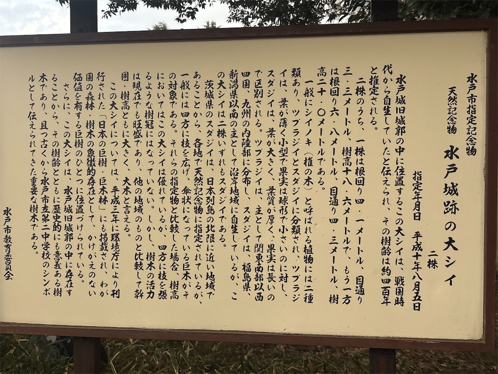 f:id:ryusei24:20260308230142j:image f:id:ryusei24:20260308230142j:image
