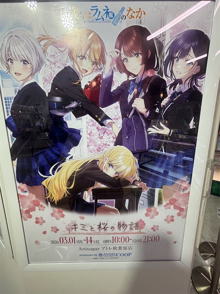 f:id:ryusei24:20260308231844j:image f:id:ryusei24:20260308231844j:image