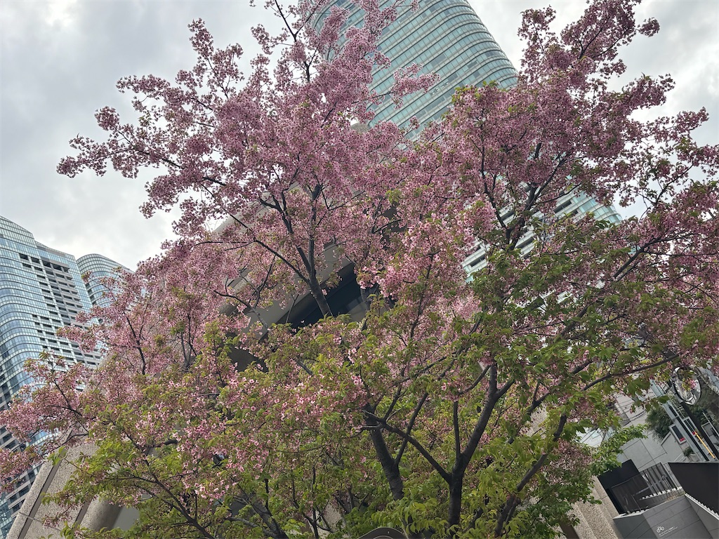 f:id:ryusei24:20260308231854j:image f:id:ryusei24:20260308231854j:image