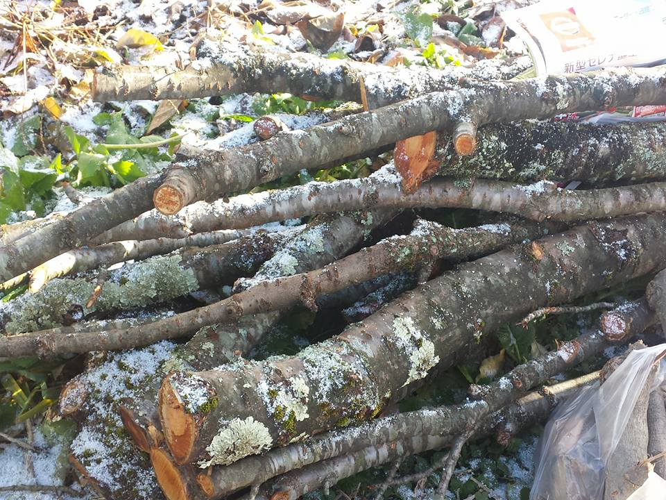 f:id:ryusen301:20161210105103p:plain