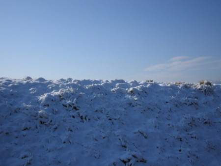 f:id:ryusendo:20100202094039j:image:w360:left