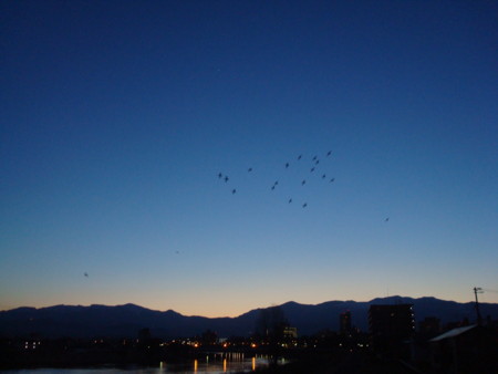 f:id:ryusendo:20110216174018j:image:w360:left
