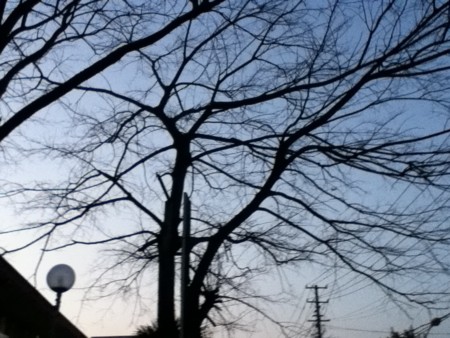 f:id:ryusendo:20120222173500j:image:w360:right