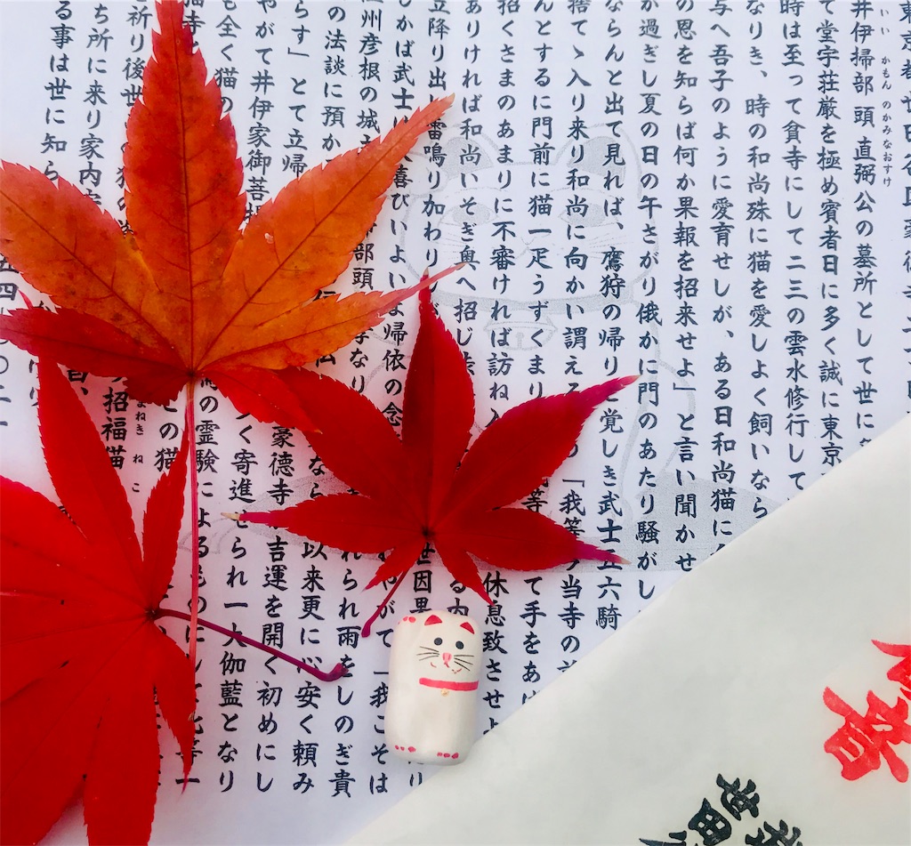 f:id:ryutaketamanju:20181204134018j:image f:id:ryutaketamanju:20181204134018j:image