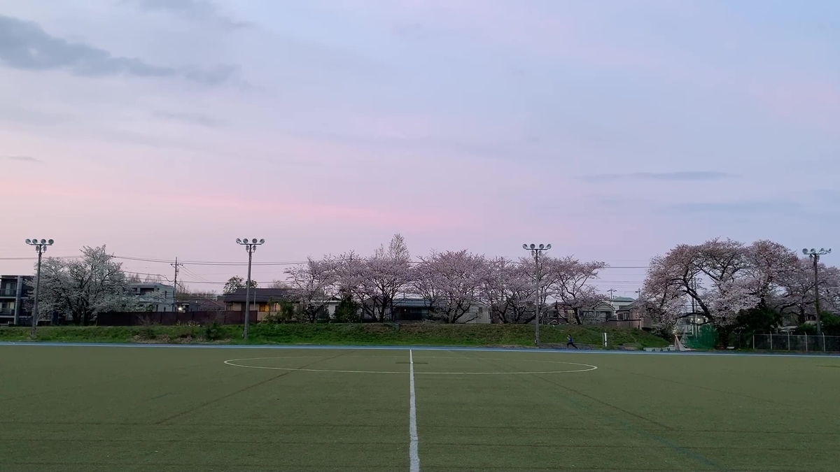 f:id:ryutaromiya:20200406180944j:plain f:id:ryutaromiya:20200406180944j:plain