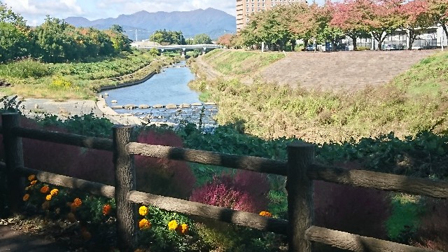 f:id:ryuteki-life:20181022192932j:plain f:id:ryuteki-life:20181022192932j:plain