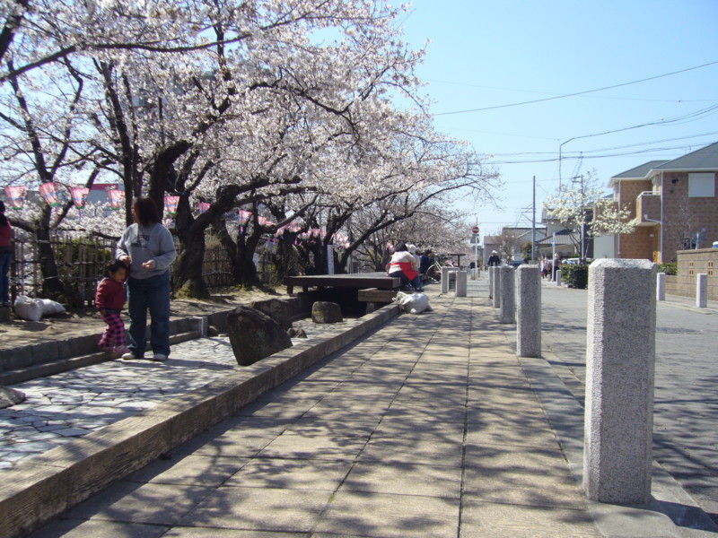 f:id:ryuu1-a:20110405102806j:image:w200