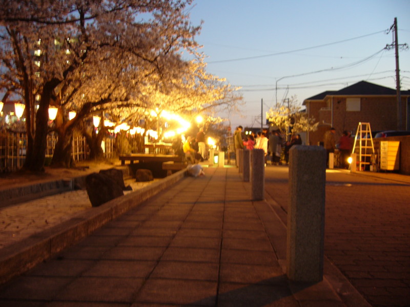 f:id:ryuu1-a:20110405182650j:image:w200