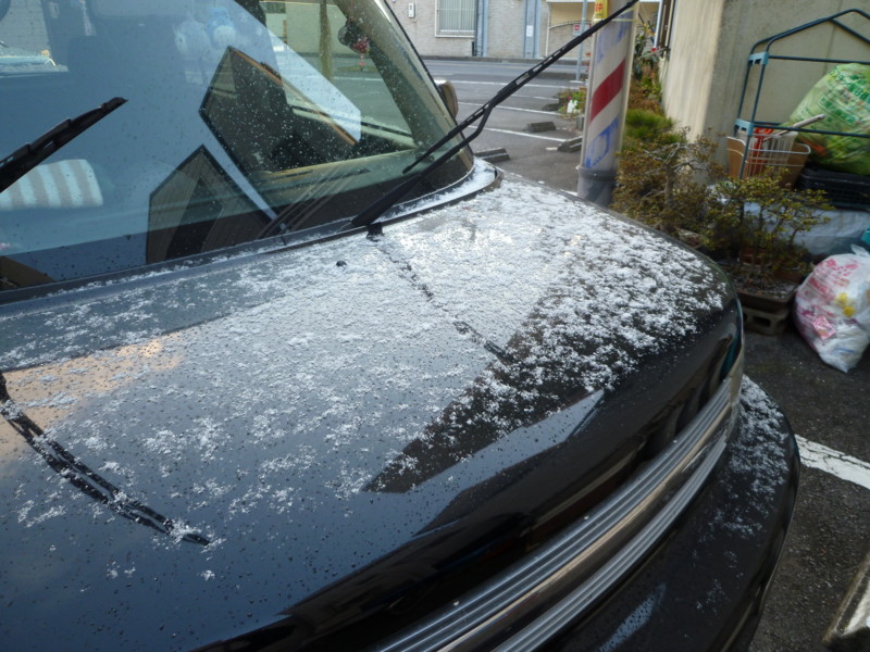 f:id:ryuu1-a:20120202072640j:image:w400 f:id:ryuu1-a:20120202072640j:image:w400