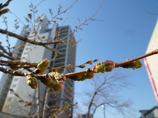 f:id:ryuu1-a:20140323220540j:image:w400