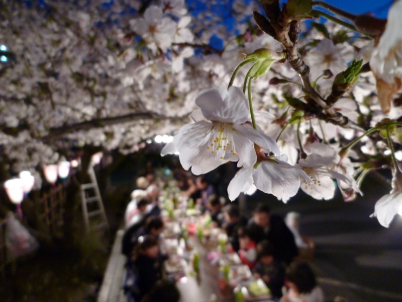 f:id:ryuu1-a:20140401183823j:image:w200 f:id:ryuu1-a:20140401183823j:image:w200