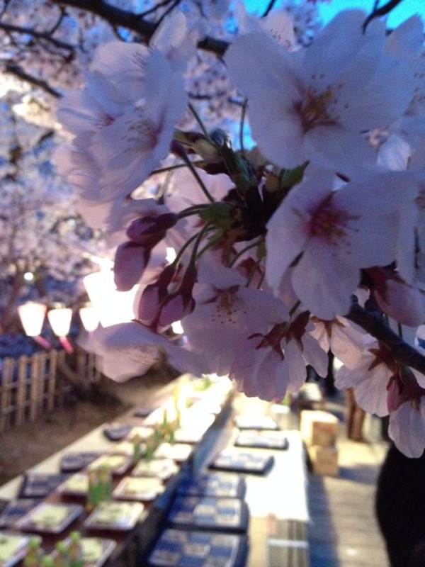 f:id:ryuu1-a:20150331224001j:image:w400 f:id:ryuu1-a:20150331224001j:image:w400