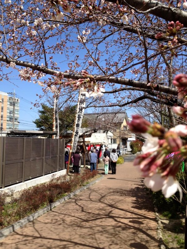 f:id:ryuu1-a:20160326222252j:image:w400 f:id:ryuu1-a:20160326222252j:image:w400