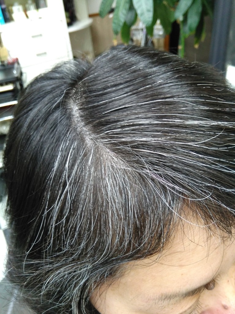 f:id:ryuu1-a:20190210203612j:plain f:id:ryuu1-a:20190210203612j:plain