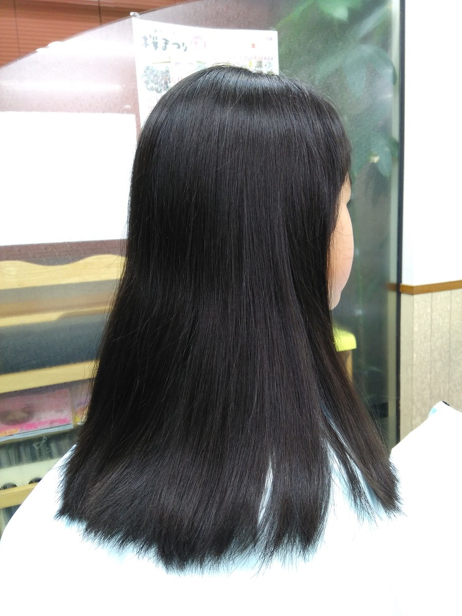 f:id:ryuu1-a:20190326103705j:plain