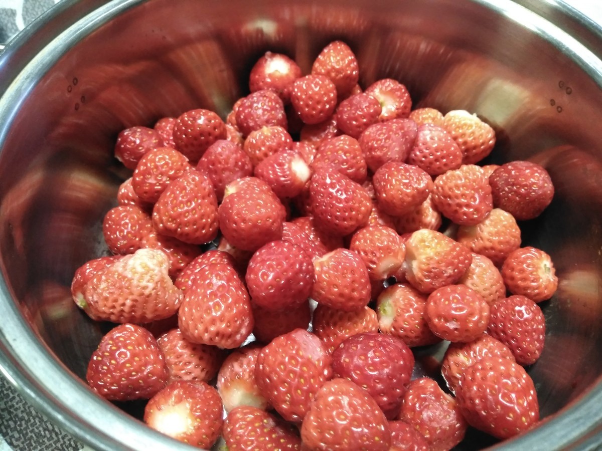 f:id:ryuu1-a:20190427223825j:plain