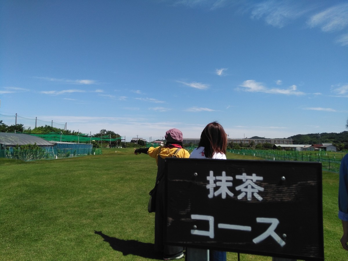 f:id:ryuu1-a:20190617095541j:plain