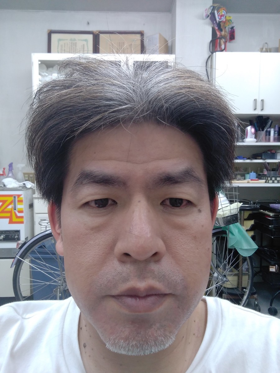 f:id:ryuu1-a:20190618224033j:plain