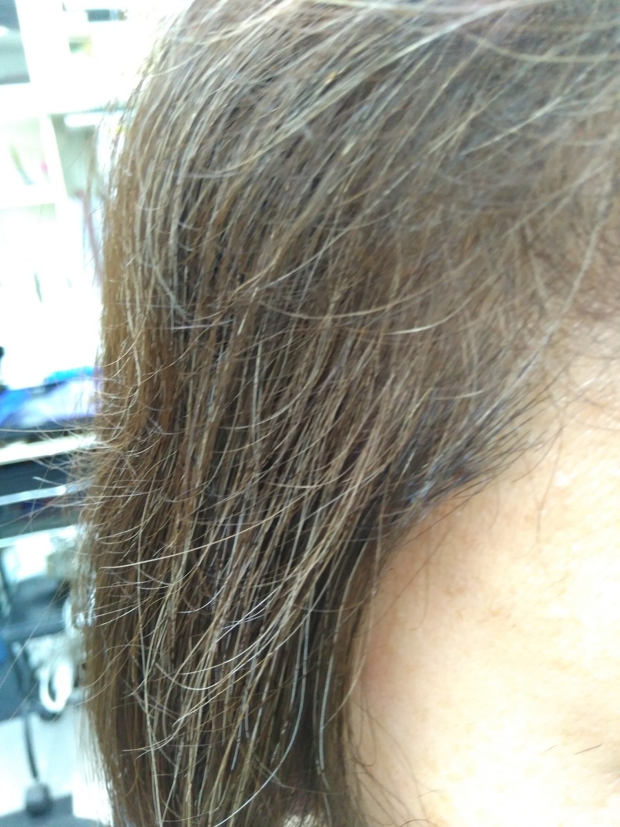 f:id:ryuu1-a:20190709151113j:plain f:id:ryuu1-a:20190709151113j:plain