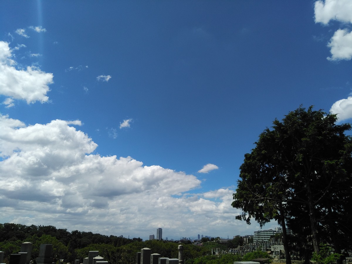 f:id:ryuu1-a:20190813114854j:plain f:id:ryuu1-a:20190813114854j:plain