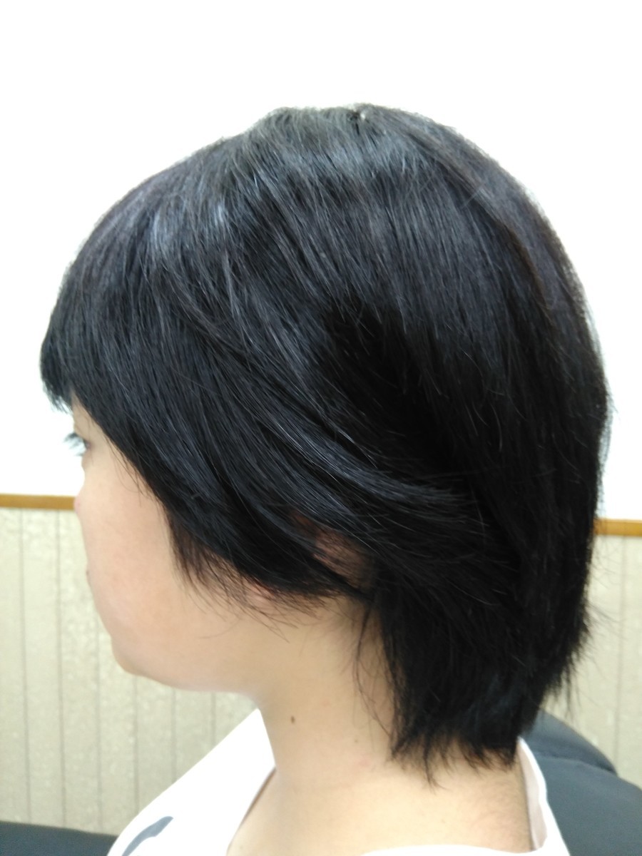 f:id:ryuu1-a:20190830074634j:plain