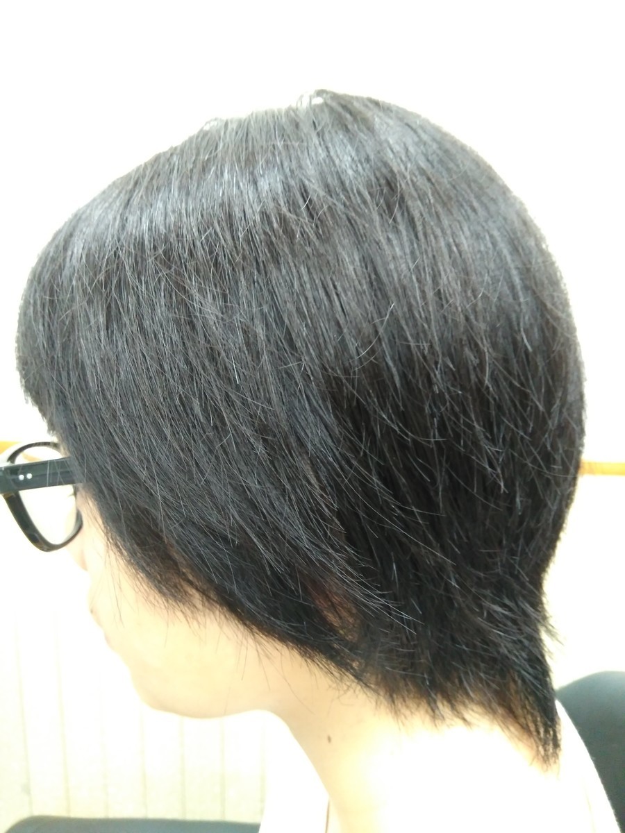 f:id:ryuu1-a:20190830084623j:plain