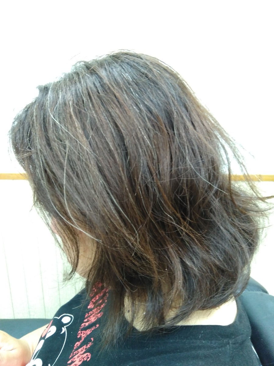f:id:ryuu1-a:20190911075319j:plain f:id:ryuu1-a:20190911075319j:plain