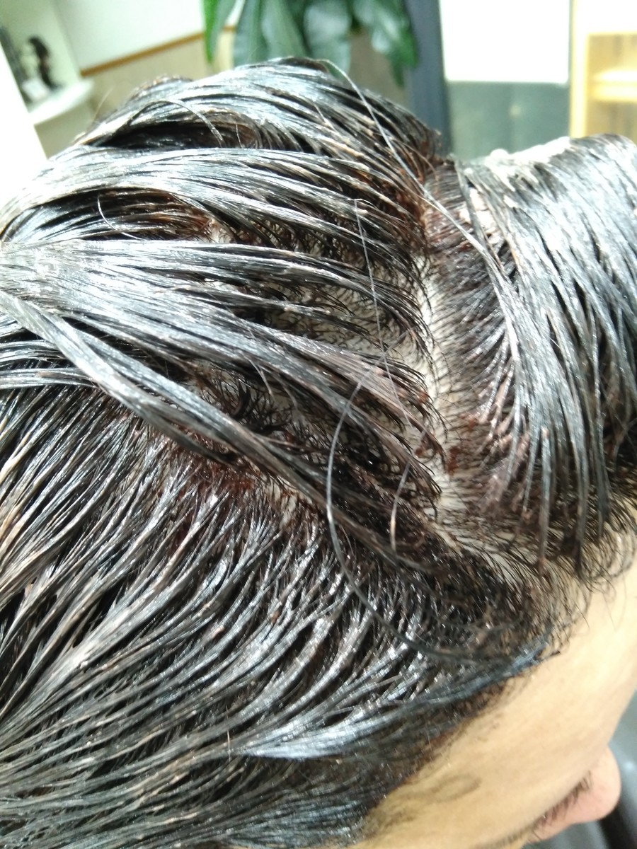 f:id:ryuu1-a:20191112123030j:plain f:id:ryuu1-a:20191112123030j:plain
