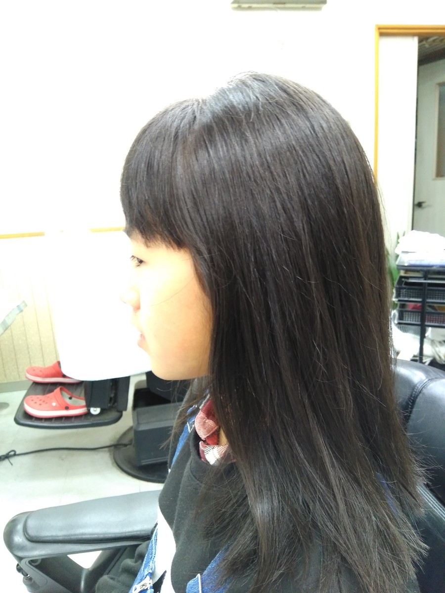 f:id:ryuu1-a:20200112215458j:plain f:id:ryuu1-a:20200112215458j:plain