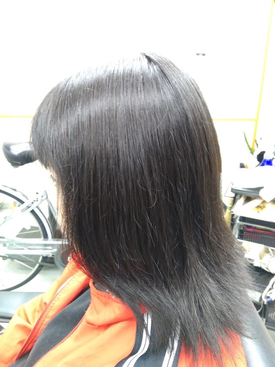 f:id:ryuu1-a:20200331101048j:plain f:id:ryuu1-a:20200331101048j:plain
