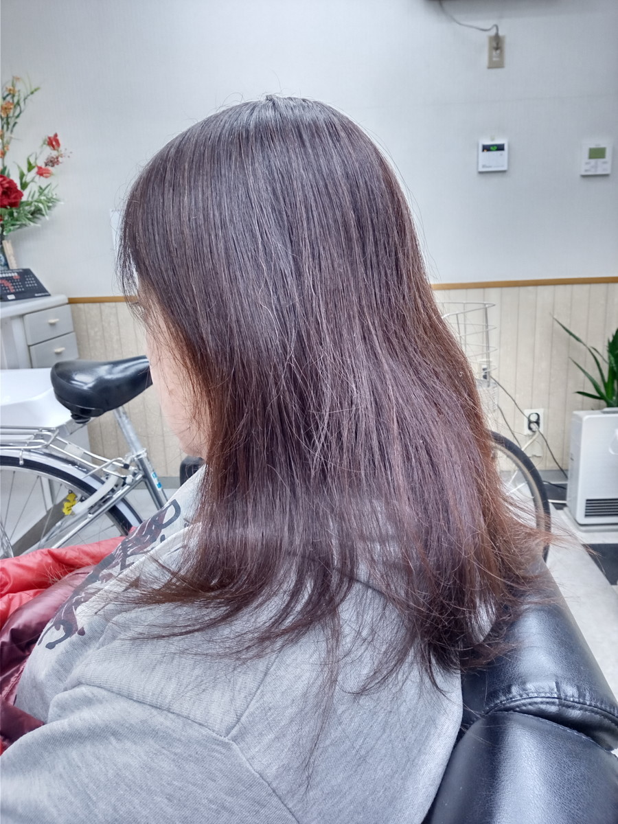 f:id:ryuu1-a:20210112122258j:plain