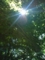 20100719132607