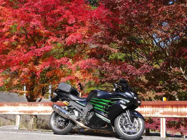 20万で買いました さよなら、ありがとう！ZX-14R - なにげない私のなにげない日々