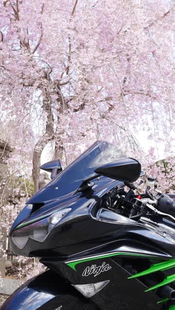 さよなら、ありがとう！ZX-14R - なにげない私のなにげない日々