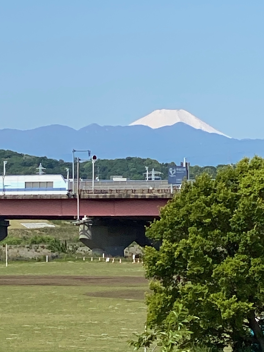 f:id:ryuuseiemiko:20210503091523j:plain