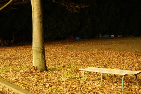 f:id:ryuusinn:20091204203100j:image f:id:ryuusinn:20091204203100j:image