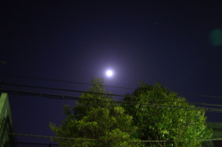 f:id:ryuusinn:20100331003457j:image