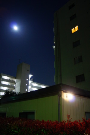 f:id:ryuusinn:20100331005154j:image