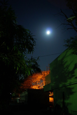 f:id:ryuusinn:20100331005506j:image