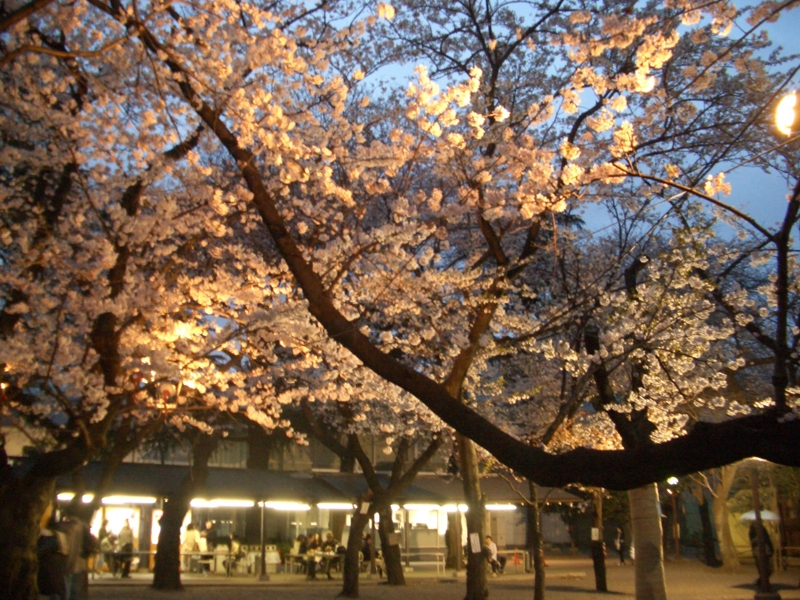 f:id:ryuuzanshi:20100404181643j:image
