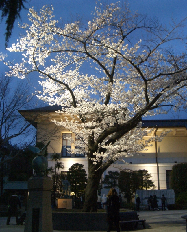 f:id:ryuuzanshi:20100404181818j:image
