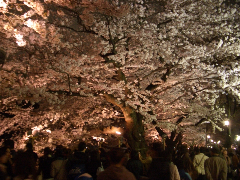 f:id:ryuuzanshi:20100404184613j:image