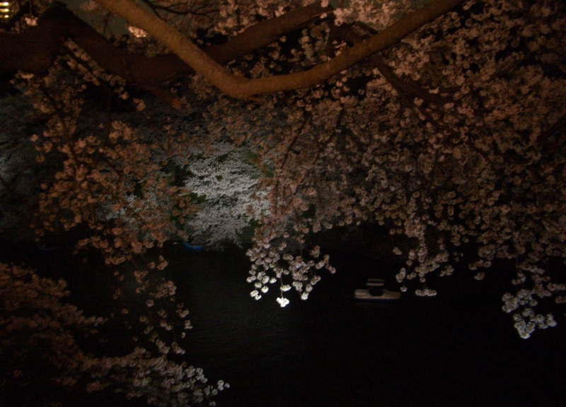 f:id:ryuuzanshi:20100404185645j:image