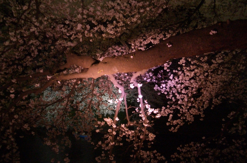 f:id:ryuuzanshi:20100404190841j:image